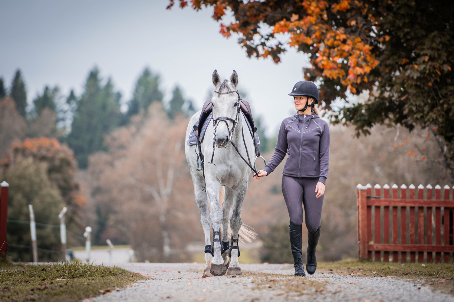 Kollektion - Shadow Grey