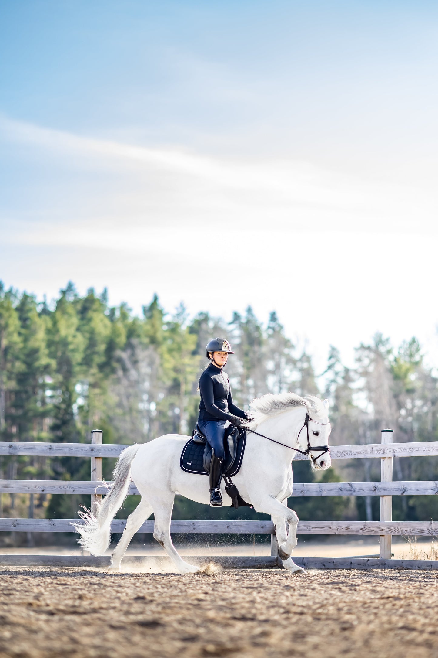 London Navy Hybrid Leggings