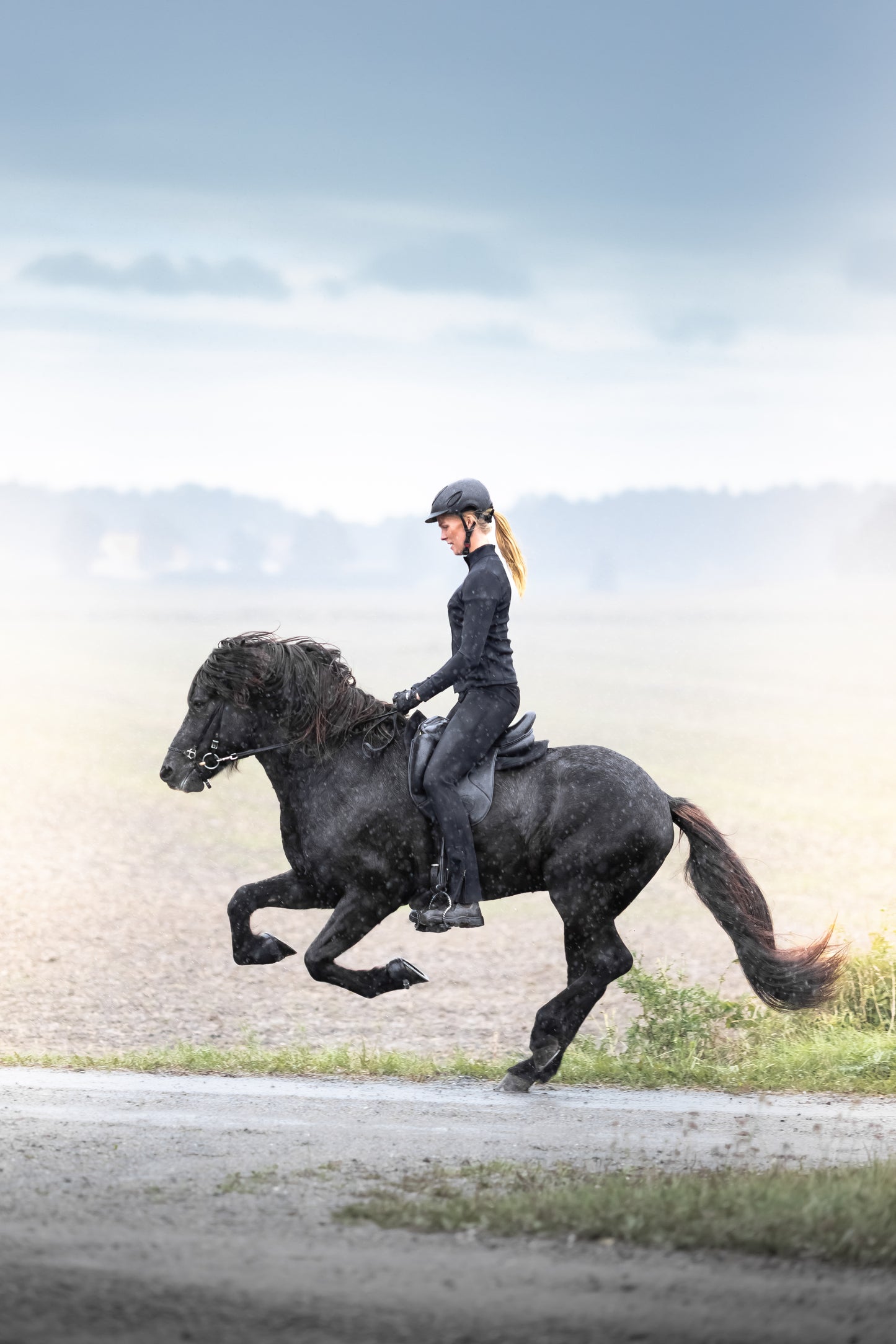 BootCut Breeches Black