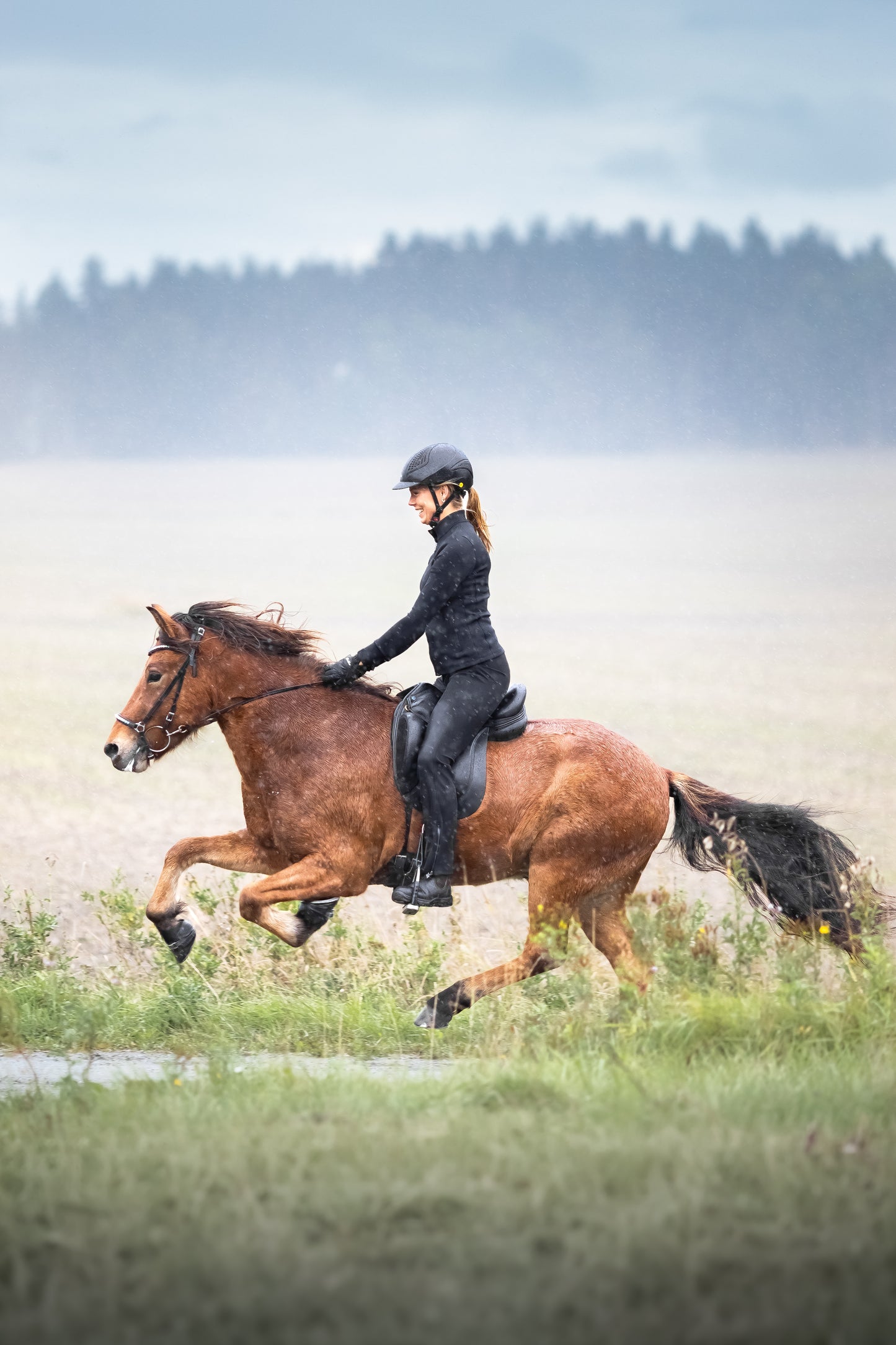 BootCut Breeches Black