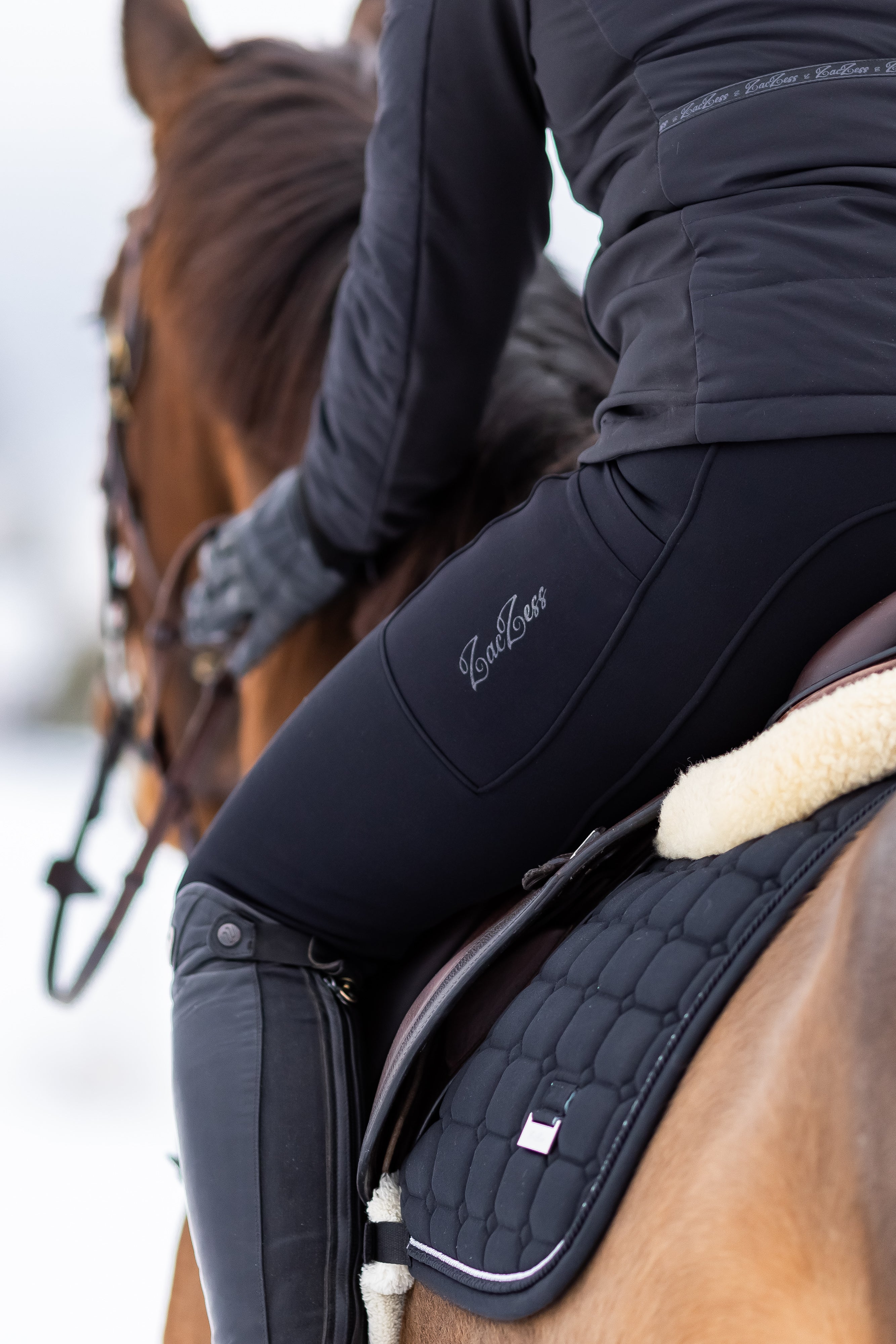 PLUS - Teddy Winter Leggings Black – ZacZess