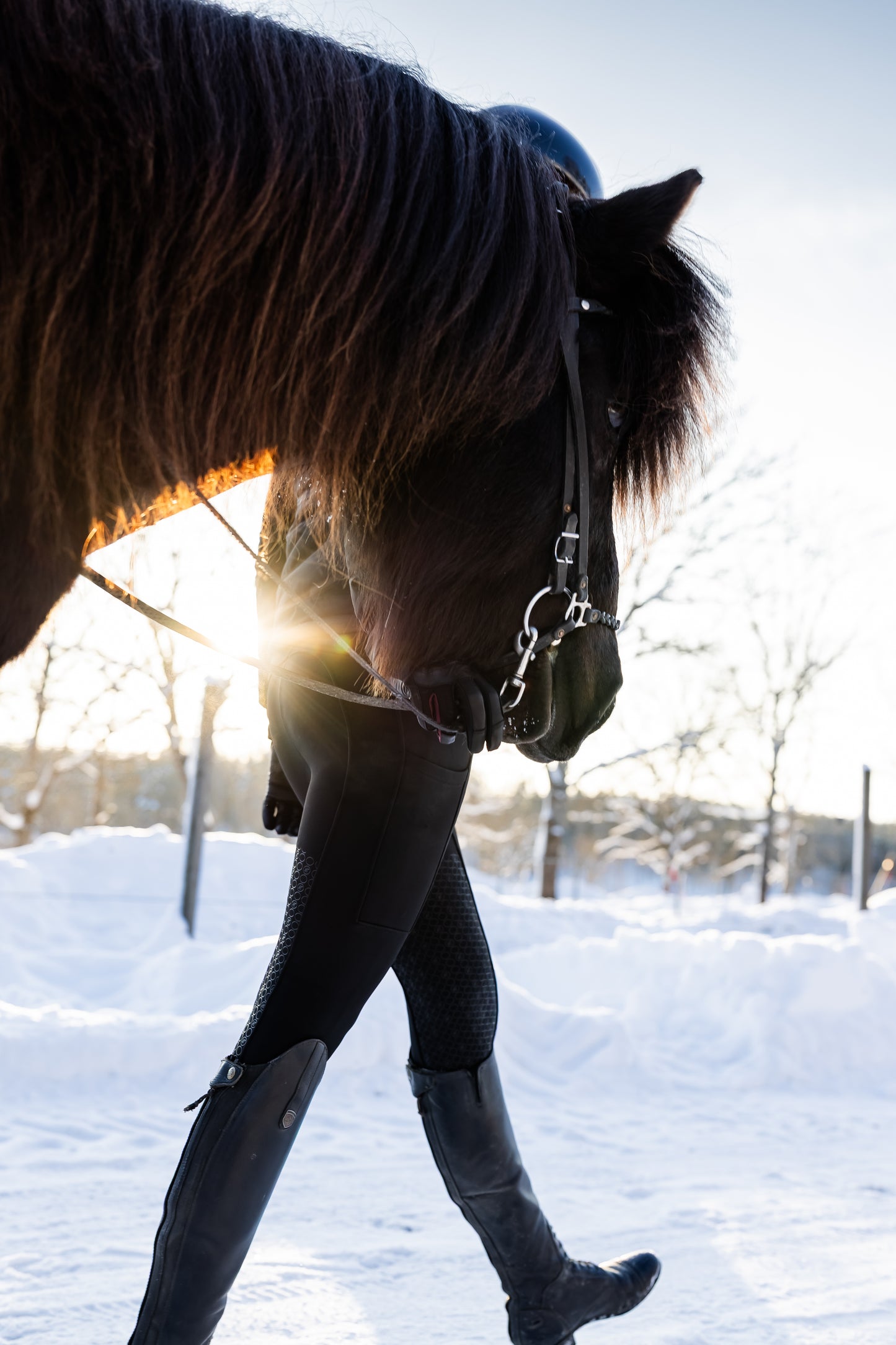 Teddy Winter Leggings Black